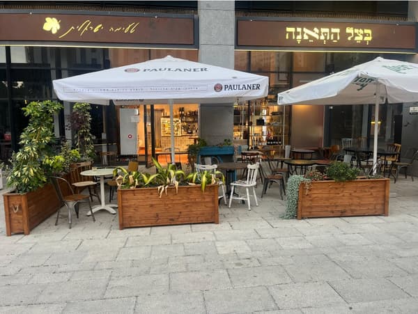 בצל התאנה מודיעין